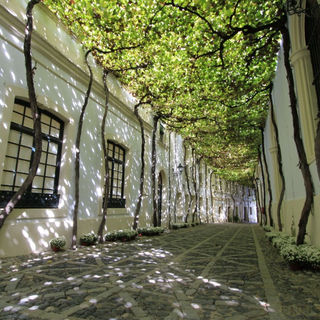 González Byass refuerza su compromiso con la sostenibilidad en su Memoria 2023-2024