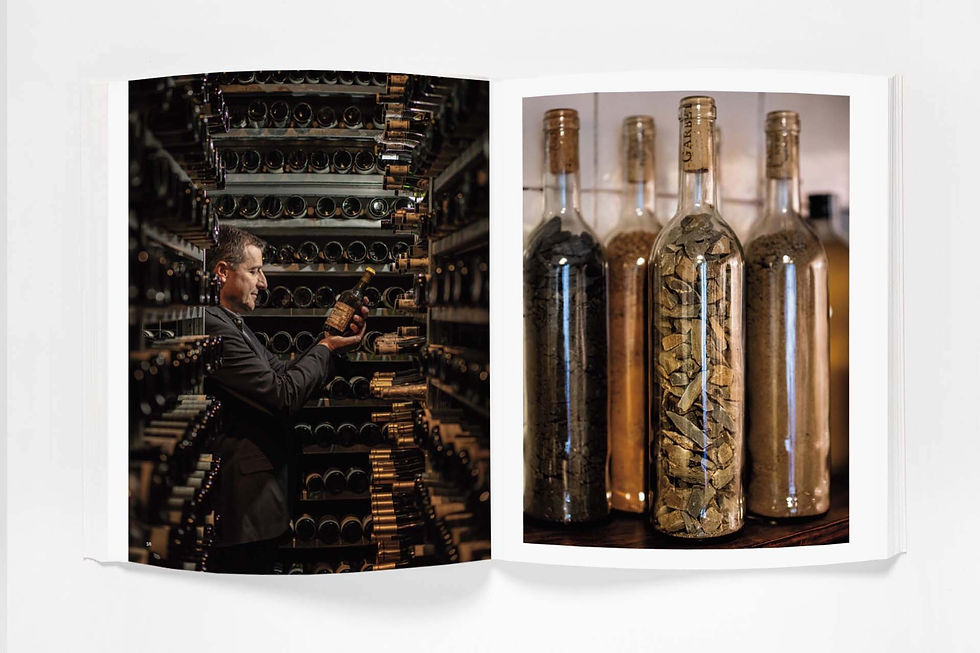 El Celler de Can Roca CCR (Mejores libros gastro verano 2023) - GastroSpain (2).jpg