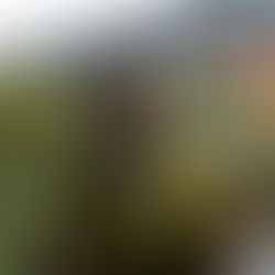 "El huésped busca un lugar especial". Entrevista a Mertxe Begiristain, Las Casas de Ea Astei