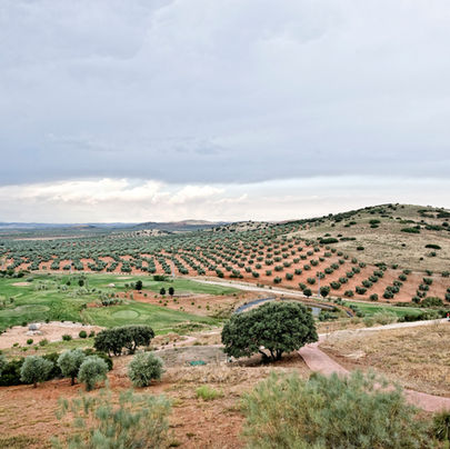 La Caminera Club de Campo: una escapada entre olivos para descubrir La Mancha