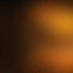 Hamburguesa de la semana en GastroMadrid. Semana 6 2026: Jenkin's