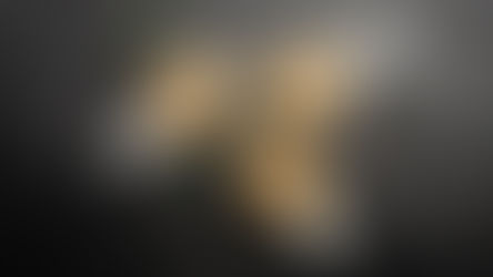 Maison Huchin: el sabor auténtico del norte de Francia que conquista el paladar español