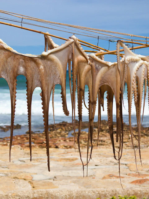 Dénia (Localidad gastronómica agosto 2025) - GastroSpain (3)