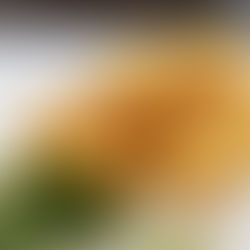 Croqueta de la semana en GastroSpain. 2025/35: Joseba Añorga Taberna