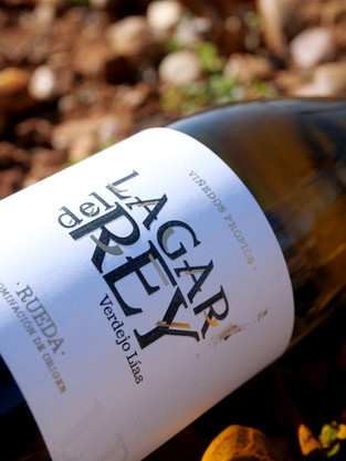 Bodegas Valdehermoso (10 blancos Rueda conquistan Madrid 2026) - GastroMadrid (1)