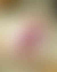 Fisan (Dónde comprar ibéricos con garantía 2026) - GastroMadrid (2)