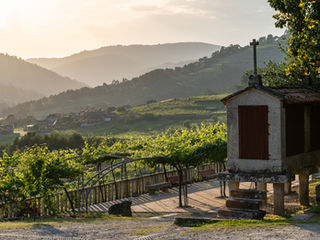 Los mejores vinos de la DO Ribeiro 2026