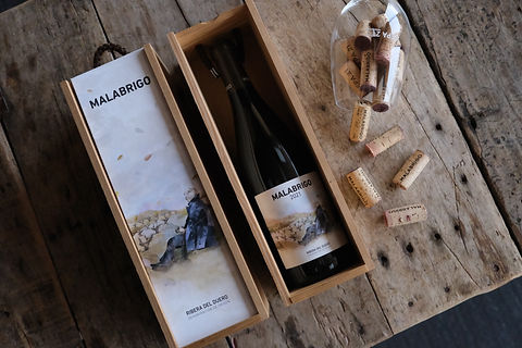Bodegas Cepa 21 Malabrigo 2021 (Producto) – GastroMadrid (4).JPG