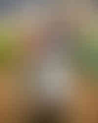 Rippa Dorii (10 blancos Rueda conquistan Madrid 2026) - GastroMadrid (2)