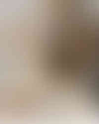 Martín Códax 2025 (Bodega) - GastroSpain (3)