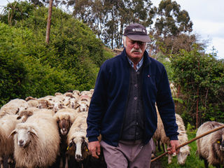 Quesería El Cortijo de Las Hoyas: quesos con raíz en el norte de Gran Canaria