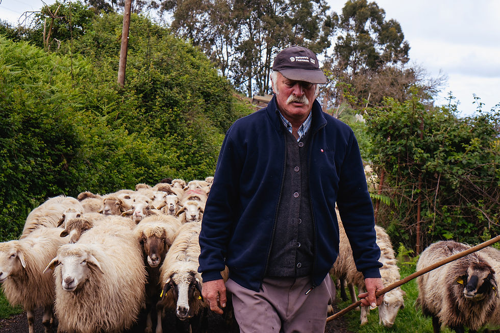 Quesería El Cortijo de Las Hoyas Gran Canaria 2026 (Producto) - GastroMadrid (1)