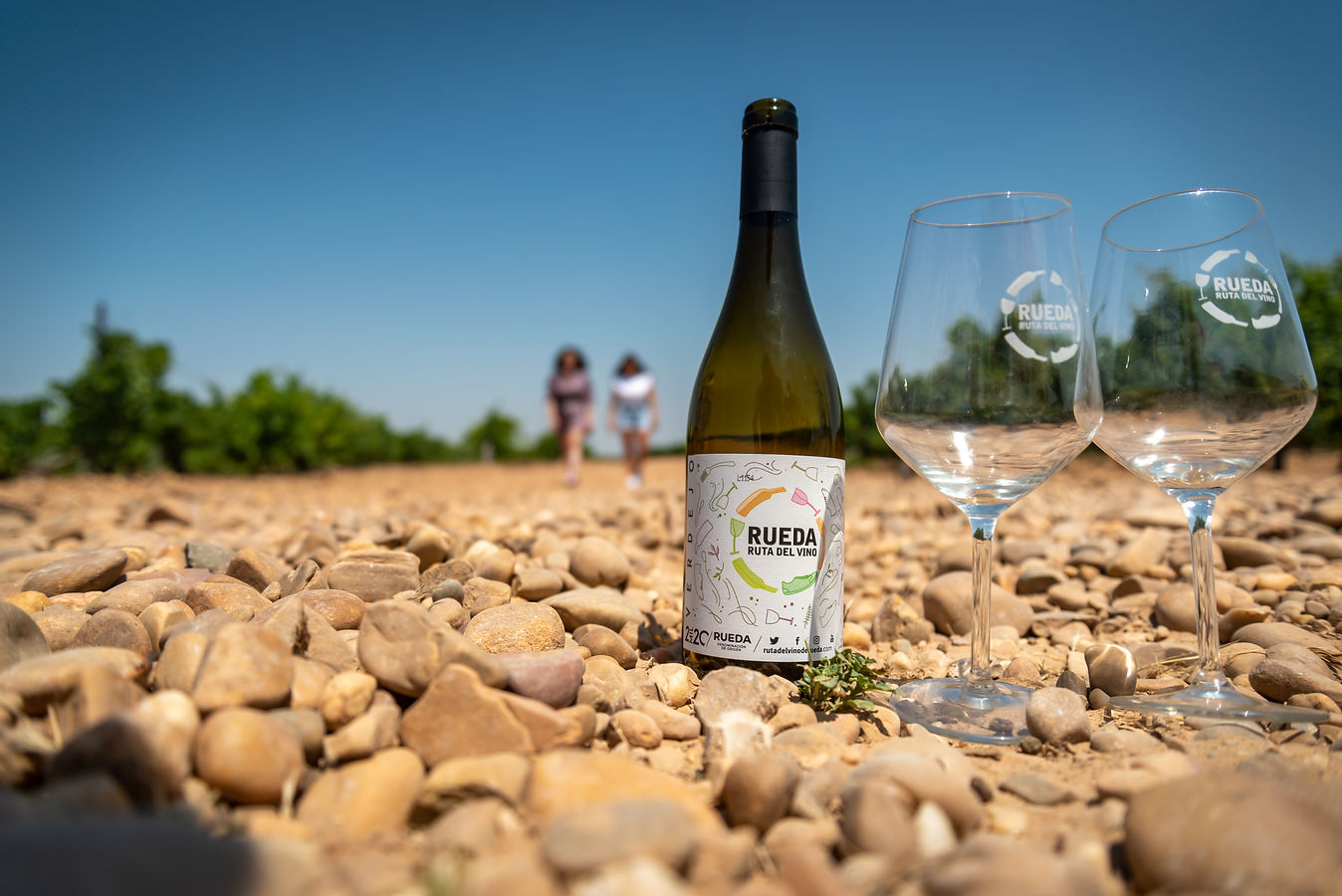 Ruta del Vino de Rueda San Valentín 2022 (Viajar) - GastroMadrid.jpg