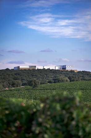 Finca Antigua (Familia Martínez Bujanda enoturismo 2026) - GastroMadrid (2)