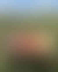 Coinga (Mahón-Menorca DOP qué marcas buscar 2026) - GastroMadrid (1)