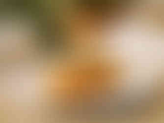 El Jardín de Claudio (Gastro agenda semanal 2025 - Semana 14) - GastroMadrid (1)