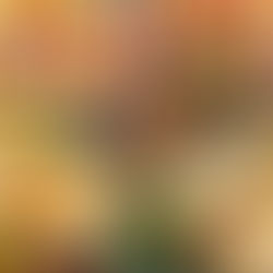 El día perfecto para comer como en México sin salir de casa