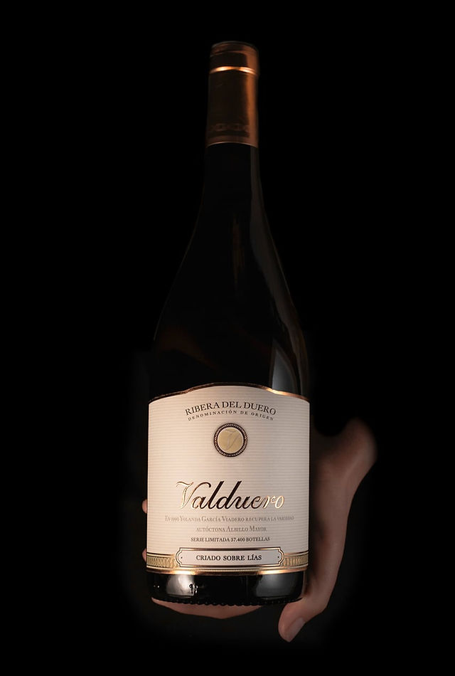 Bodegas Valdueros (Mejores vinos blancos Ribera del Duero 2025) - GastroMadrid (1)