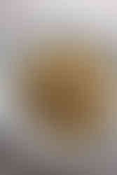 L'Intruso (7 aperturas que lo petan en Madrid 2026) - GastroMadrid (1)