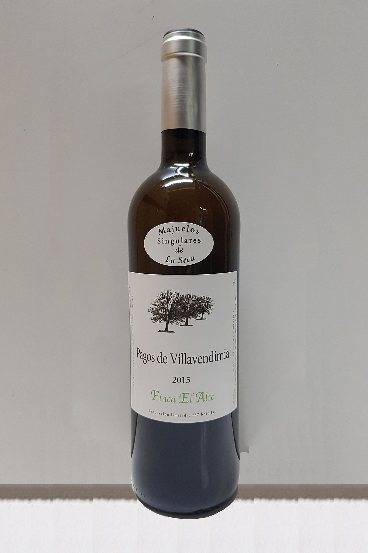 Bodegas Vidal Soblechero (Mejores vinos de pequeños productores España 2025) - GastroMadrid (1)