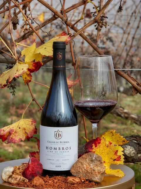 Hombros 2022, de Casar de Burbia (Vino de la semana - Semana 46 2025) - GastroSpain (2)