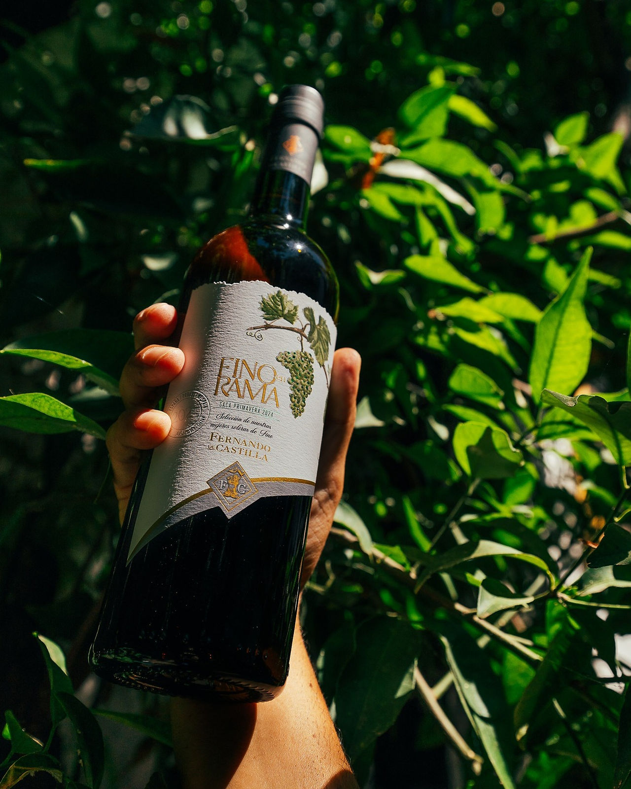 Fino en Rama 2024, de Bodegas Fernando de Castilla (Vino de la semana - Semana 18 2025) - GastroSpain (2)