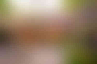 La Quinta de Illescas (Espacios bodas ceremonia y banquete mismo lugar 2026) - GastroMadrid (2)