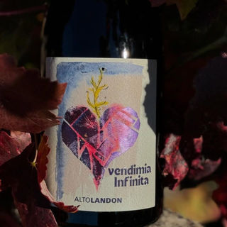 Vino de la semana en GastroSpain. 2025/35: Vendimia Infinita, de Altolandon