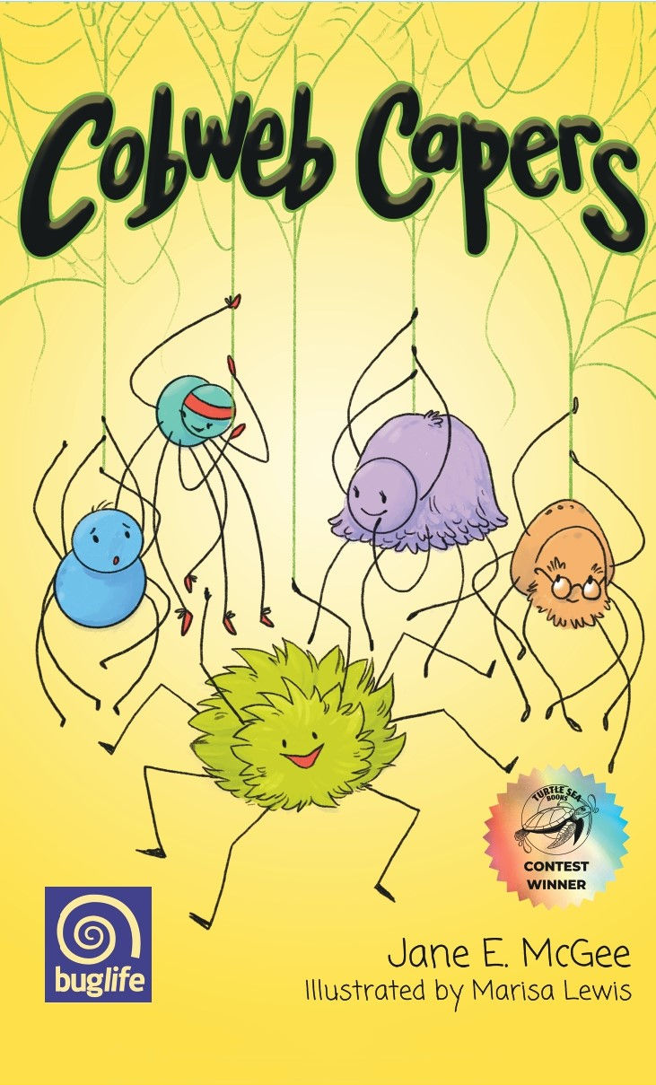 Thumbnail: Spider Adventures Box