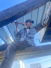 IMG_5090.JPEG