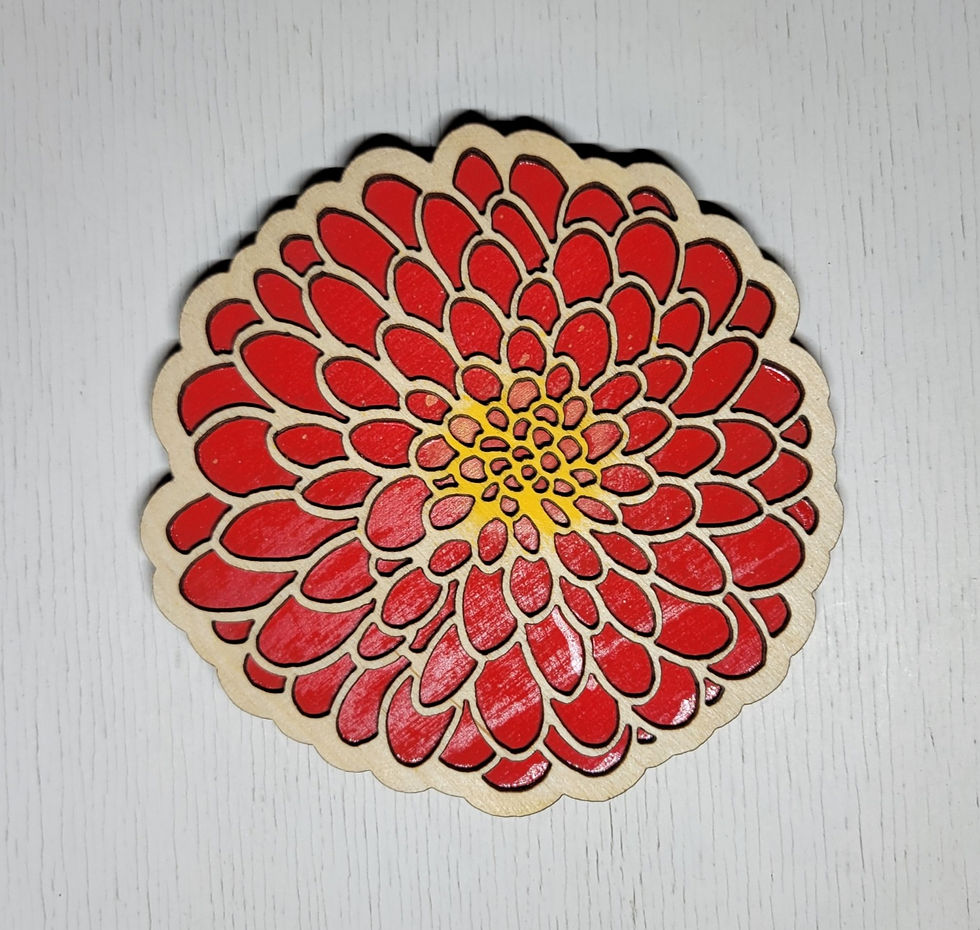Single Dahlia(Red)
