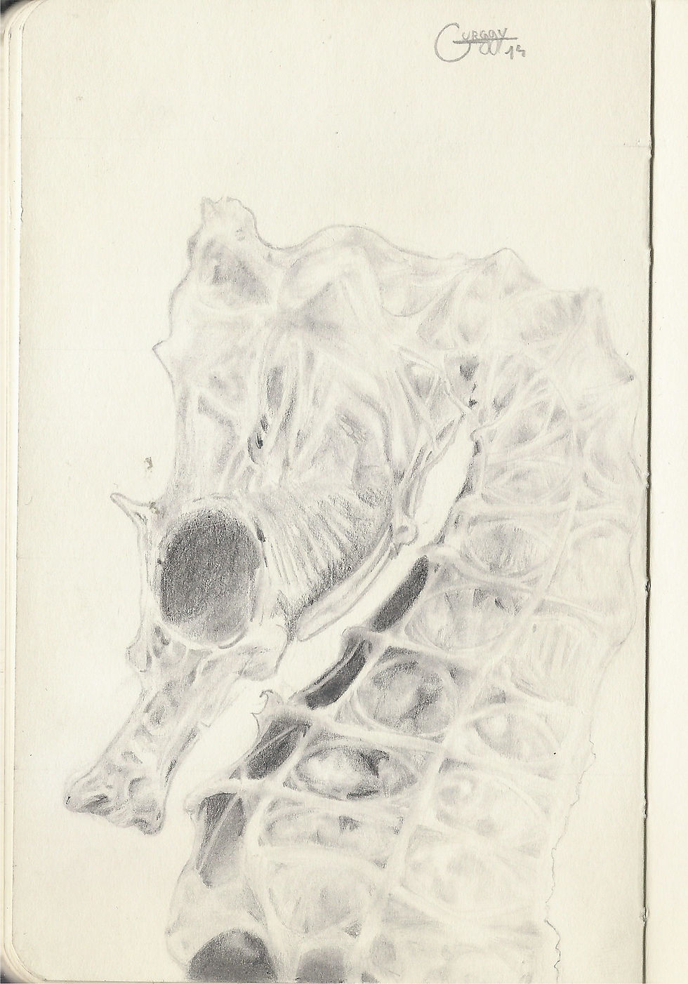 Caballito 002.jpg