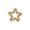 Estrela NVS (1).png