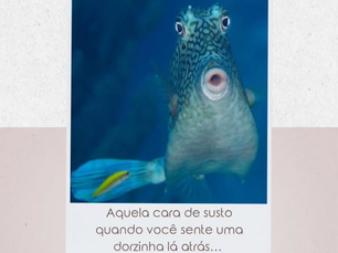 Já passou por isso?