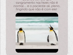 Dor, sangramento ou aquele ‘empurrãozinho’ pra evacuar merecem atenção!