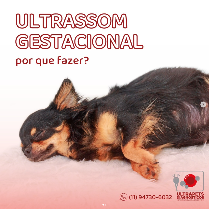Ultrassom gestacional