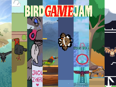 10 jogos feitos na Bird Game Jam - Legado das Águas
