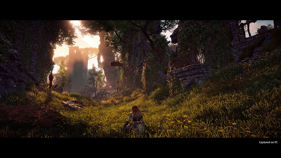 Horizon Zero Dawn