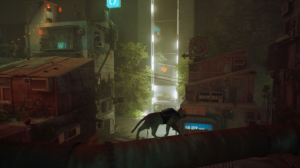 Jogo Stray