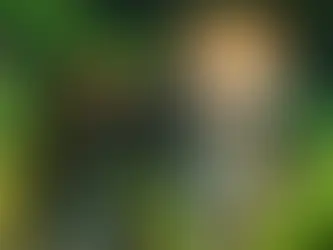 Onça Pintada do Jogo Planet Zoo
