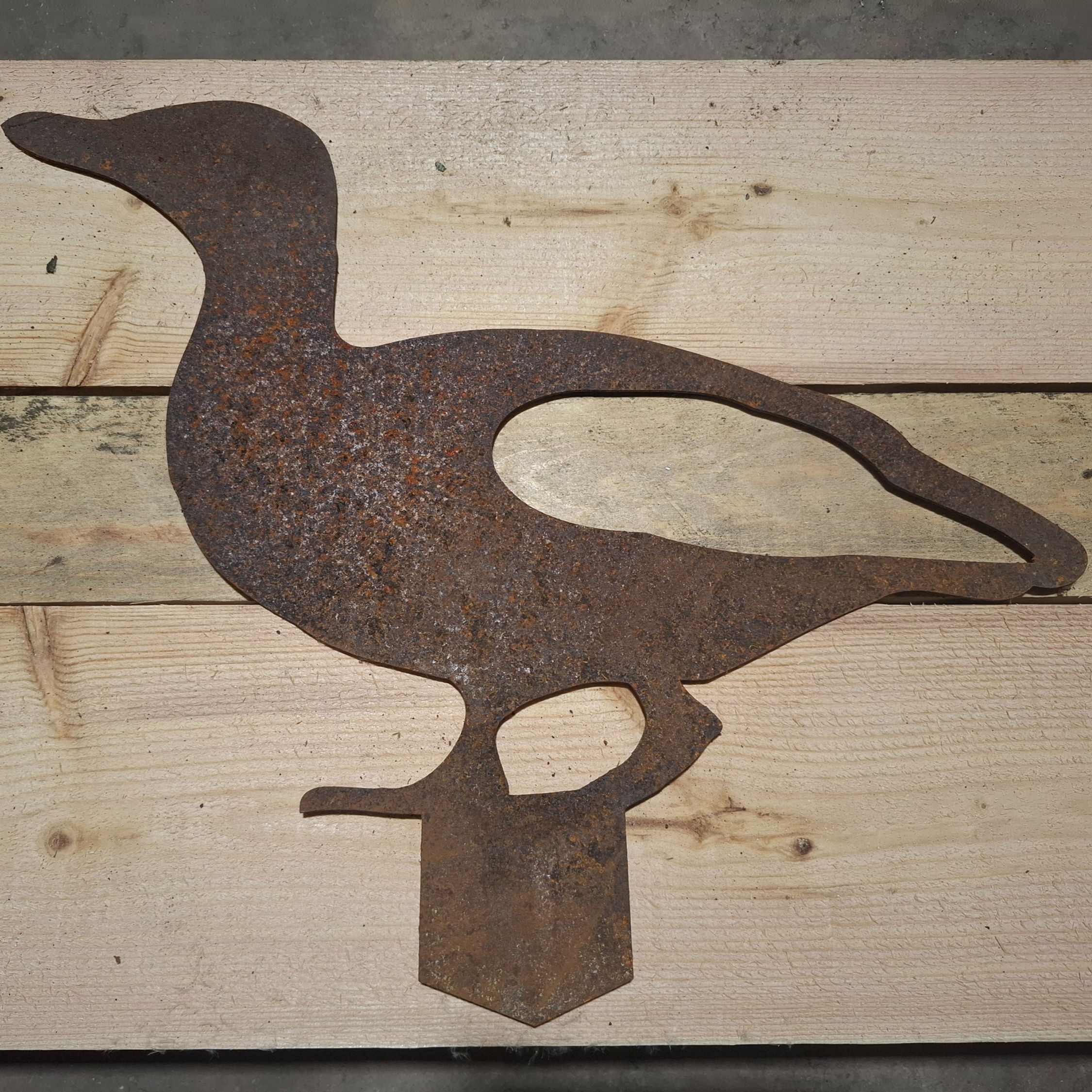 Rusty Duck no. 2