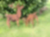 Rusty Metal 3D Deer Sculptures