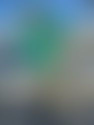 Fishing report for 11/5/2022