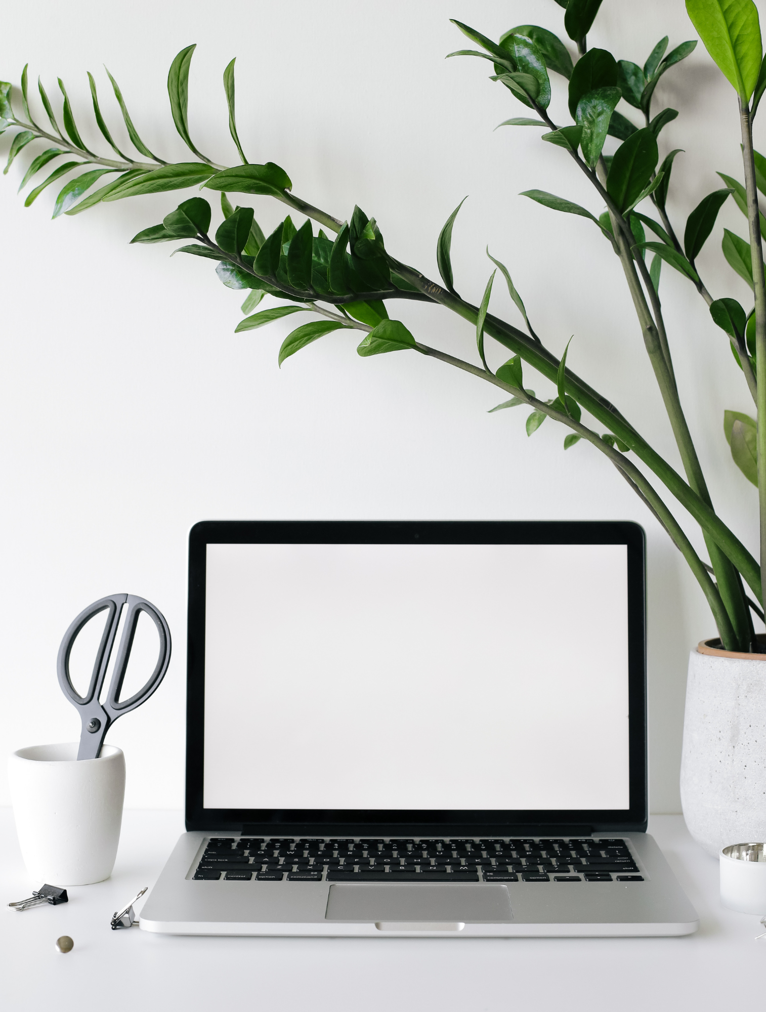 Minimalist workspace with a laptop, potted plants, and office supplies on a white desk.