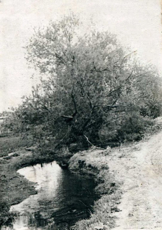 Білий Яр (травень 1970 року)