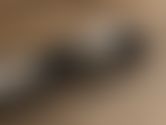 EYEVAN 7285【英法混血風格作品】'EV-343LR'