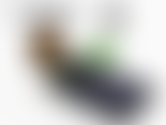 NEIGHBORHOOD x Julius Tart Optical 【重量級限定聯乘 別注品 發售】’FDR‘