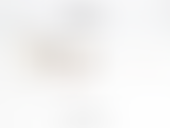 DITA【東京玳瑁配色|限量單品】'DTX-131 SCHEMA-TWO'