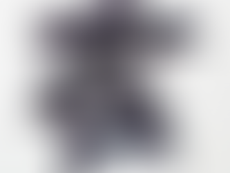 Julius Tart Optical x Wacko Maria【獨家販售|日美兩大風格聯乘|各款兩色選擇】'AR' & 'FDR'