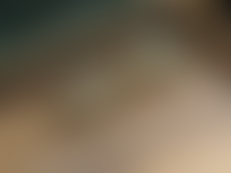 DITA【 東京玳瑁配色|長達八個月的製作工序】'DTX-448 AEGEUS-FOUR'